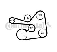 CONTITECH 6PK1830K1 Kit Cinghie Poly-V