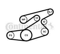 CONTINENTAL CTAM 6PK1836K1 Kit Cinghie Poly-V per BMW