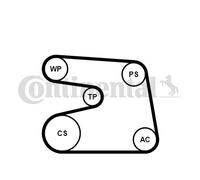 CONTINENTAL CTAM 6PK1873WP2 Pompa acqua + Kit cinghia Poly V per MERCEDES-BENZ