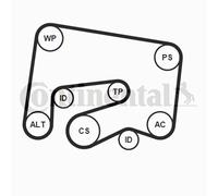 CONTINENTAL CTAM 6PK2000K1 Kit Cinghie Poly-V per MERCEDES-BENZ