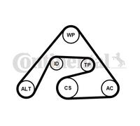 CONTINENTAL CTAM 6PK2030K2 Kit Cinghie Poly-V per MERCEDES-BENZ