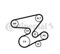 CONTINENTAL CTAM 6PK2080K1 Kit Cinghie Poly-V per BMW