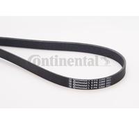 CONTINENTAL CTAM 6PK2260 Cinghia Scanalata per Audi, Chrysler, Dodge, Jeep ,
