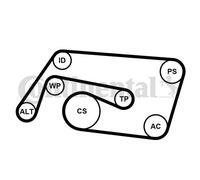 ContiTech Kit cinghie Poly-V 6PK2260K2 con rullo tenditore e galoppino per Mercedes C (W203)