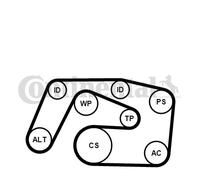 CONTINENTAL CTAM 6PK2271K1 Kit Cinghie Poly-V per MERCEDES-BENZ