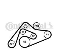 CONTINENTAL CTAM 6PK2404K1 Kit Cinghie Poly-V per AUDI,SKODA,VW