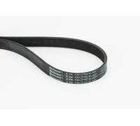 CONTINENTAL CTAM 6PK730 ELAST Cinghia Poly-V per AUDI,SEAT,SKODA,VW