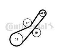 CONTINENTAL CTAM 6PK800K2 Kit Cinghie Poly-V per CITROËN,DS,FORD,MINI,PEUGEOT