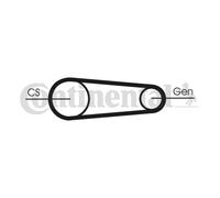 CONTINENTAL CTAM 6PK831 ELAST T2 Kit Cinghie Poly-V per FORD