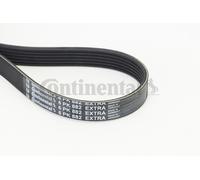 CONTINENTAL CTAM 6PK882 EXTRA Cinghia Poly-V per AUDI