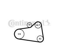 Continental Ctam 6PK905 EXTRA K1 Cinghia A Vite Per MINI Citroën Peugeot