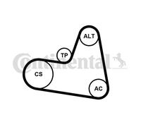 CONTINENTAL CTAM 6PK962K1 Kit Cinghie Poly-V per CITROËN,FORD,PEUGEOT,TOYOTA,VOL