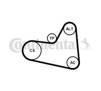 Kit cinghia trapezoidale multirighe con rullo tenditore 6PK976K1 per CITROËN DS