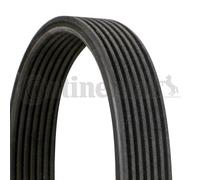 CONTINENTAL CTAM Cinghia Poly-V 7DPK1884