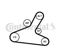 CONTINENTAL CTAM 7PK1165WP1 Pompa acqua + Kit cinghia Poly V per NISSAN