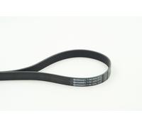 CONTITECH 6747022736 Cinture
