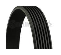 Cinghia Poly V Continental Ctam 7PK1623 per Bmw