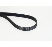 CONTITECH 7PK1685 EXTRA Cinghia servizi