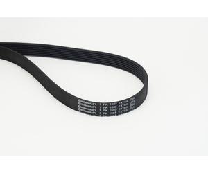 CONTINENTAL CTAM 7PK1685 EXTRA Cinghia Poly-V per FIAT,OPEL,VAUXHALL