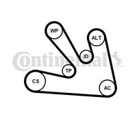 CONTINENTAL CTAM 7PK1687WP1 Pompa acqua + Kit cinghia Poly V per NISSAN,RENAULT