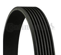 Cinghia Poly-V CONTINENTAL 7PK2535