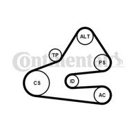 CONTINENTAL CTAM Cinghia A V Denti Per Audi A4 Avant 8ED B7 8E5 B6 8E2