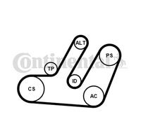 CONTINENTAL CTAM Cinghia A V Per Audi A4 Avant 8K5 B8 Q5 8RB 8R Seat