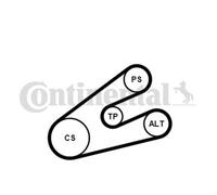 CONTINENTAL CTAM Cinghia A V Per Peugeot 206 CC 2D Partner Combispace