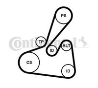CONTINENTAL CTAM Cinghia A V Ribs Per Ford Fiesta VI Transit Connect V408