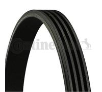 CONTINENTAL CTAM Cinghia A Vite Adatta Per BMW X5 3.0 Si