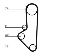 CONTINENTAL CTAM Cinghia dentata CONTCT707
