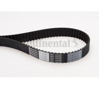 CONTINENTAL CTAM Cinghia dentata CT1015