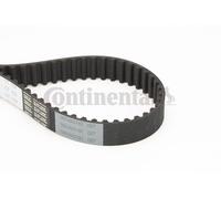 CONTINENTAL CTAM Cinghia dentata CT1131