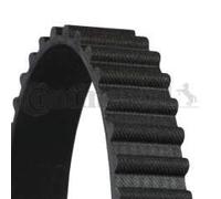 CONTINENTAL CTAM Cinghia dentata CT555
