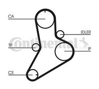 Cinghia di distribuzione CONTINENTAL CT622