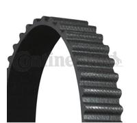 CONTINENTAL CTAM Cinghia Distribuzione Dentata per Honda Crx II ed Ee 1.6i 16V