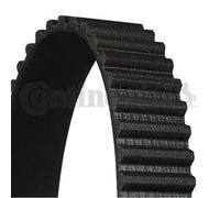 CONTINENTAL CTAM Cinghia Distribuzione Dentata per Lexus Sc UZZ40_430 Ls . _F3_
