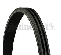 CONTINENTAL CTAM Cinghia Poly-V 3PK806 ELAST