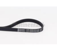 CONTINENTAL CTAM Cinghia Poly-V 4PK830 ELAST
