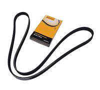 CONTINENTAL CTAM Cinghia Poly-V 5PK1546