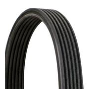 CONTINENTAL CTAM cinghia Poly-V 6DPK1188 6 nervature 1.188 mm