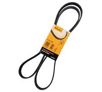 Cinghia a V CONTITECH 6PK1795