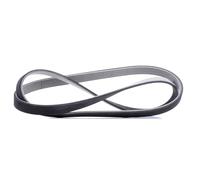 CONTINENTAL CTAM Cinghia Poly-V 7DPK1884