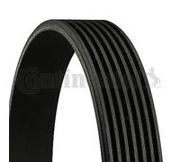 CONTINENTAL CTAM Cinghia Poly-V 7PK1272