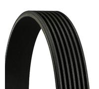 CONTINENTAL CTAM cinghia Poly-V 7PK1988 7PK1988 7 nervature 1.988 mm