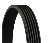 CONTINENTAL CTAM Cinghia poly-v lunghezza 1.220 mm 6PK1220
