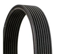 CONTINENTAL CTAM Cinghia poly-v lunghezza 1.833 mm 8DPK1833