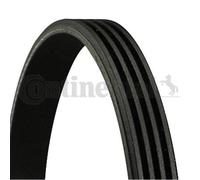 CONTINENTAL CTAM Cinghia Scanalata Adatto A per Hyundai Getz i10 Fiat Punto Van