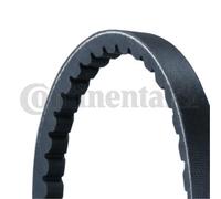CONTINENTAL CTAM Cinghia Trapezoidale per Audi 100 80 Avant Opel Combo Corsa B