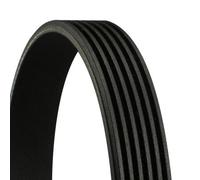 CONTINENTAL CTAM Contitech Cinghie lunghezza 852 mm 6PK852ELAST